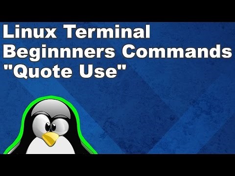 Linux Terminal for Beginners Commands 6: Using Quotes