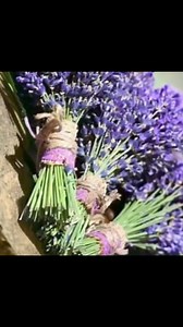 2.7M views · 10K reactions | Mike Tyson Mike Tyson using muscle Stimulator ❗ #miketyson #ironmike #jakepaul #boxer #fight #knockout #boxing #viralvideo #king #petinju #fightvideo #reel | Boxing UFC | Facebook