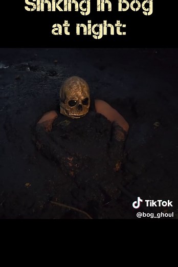 How to Sleep in a Cozy Bog: A Survival Guide