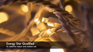 Novelty Lights 11 Feet 50 LED Warm White Christmas Mini Light String on Green Wire, 5mm Wide Angle Bulbs, Connectable, Indoor/Outdoor Decor, UL Listed