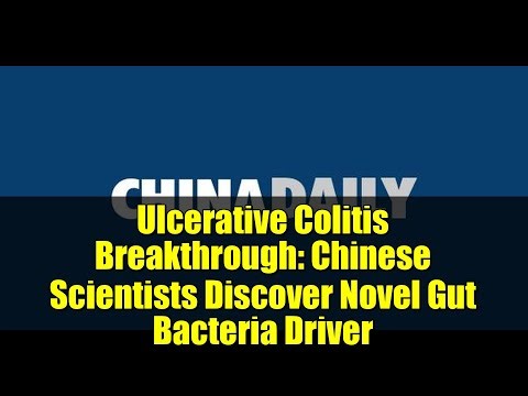 Ulcerative Colitis Breakthrough: Chinese Scientists Discover Novel Gut Bacteria Driver