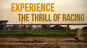 Get ready for the thrill of live horse racing! Our 2024 live racing season starts this Friday, May 10. Enjoy the excitement, delicious food, and trackside fun this summer at your favorite place to play. Post time is 6PM. | Prairie Meadows Casino, Racetrack & Hotel