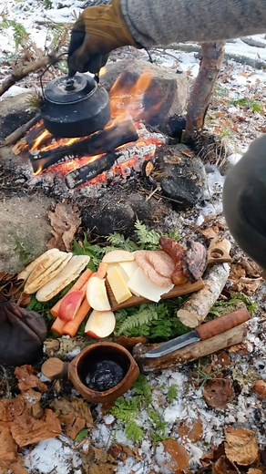 Camping Ideas on Instagram: "Have you ever tried #winter camping? #camping #winteradventures #thegreatoutdoors #bushcrafting #woodsman #coffeetime #instadaily Credit 📸 @5000dennis_nature 🔥"
