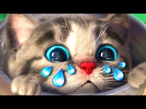 My Little Kitten friends Adventure ⭐ Preschool & kindergarten learning for children's and parents