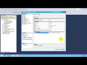 Install SQL server Check SQL Collation while installation it should be SQL Latin1 General CP1 CI A