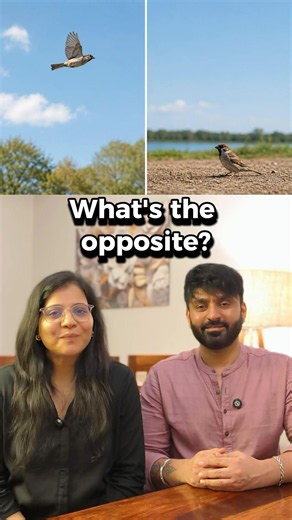 Can You Guess These Opposites in 2 Seconds? 🤔 | English Vocabulary Quiz #shorts