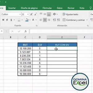 ¡CONOCE ESTE TIPS DE EXCEL USANDO &! Une el RUT con guión y el DV(Digito Verificador) con el Ampersand &, caracter FUNDAMENTAL que te va a permitir unir o concatenar los datos de más de 2 celdas en 1. . Siguenos en TikTok para más #exceltips @dominaexcelperu . www.dominaexcel.cl . #excel #concatenar #ampersand #santiagodechile #chile | Domina Excel