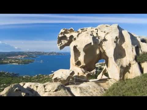 Petrified Giants All Over the World — What do you believe? ‪@history_of_shadow‬