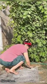 Satisfying carpet wash ASMR 🧼✨ Full relaxing clean → link in comment #SatisfyingWash