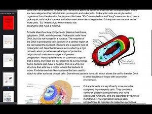 HESI A2 Biology Study Guide - Free HESI A2 Practice Test