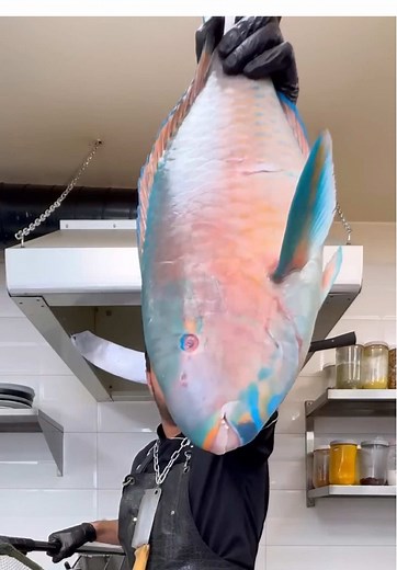 Special Parrot Fish Recipe with Rice | ASMR Cooking