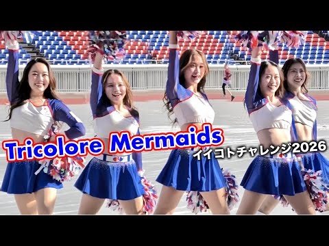[Cheerleading @ Shin-Yokohama①] I went to cheer on the Tricolor Mermaids who were cheering on the...