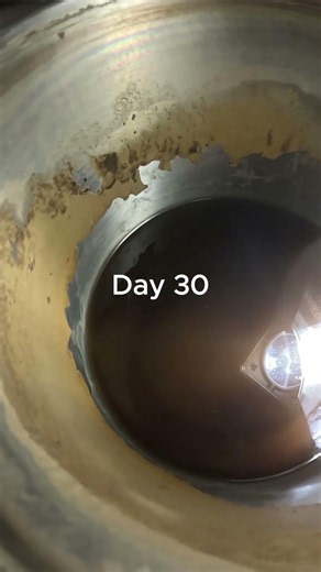 Day 1 vs Day 30 of Distilling Water 😳