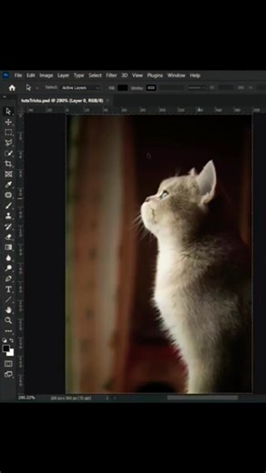 Cat hair design in Photoshop #computer #photoshop #viral #kimit