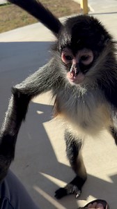 When you set them free to play and the first thing they do is come straight to me and give me a big ole hug, you know your doing something right❤️ | Our Life Adventures