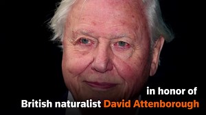 699K views · 1.2K reactions | A 560-million-year-old fossil found in the UK has been identified by scientists as the earliest known animal predator. | Reuters | Facebook