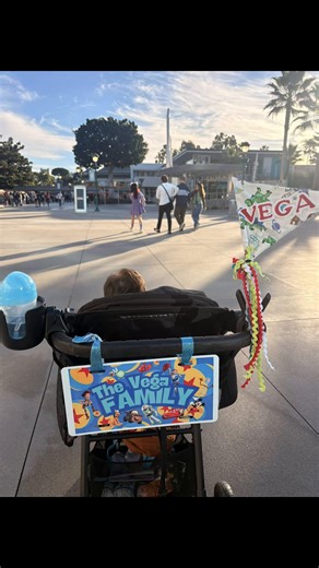 DIY Disney Stroller with Custom License Plate