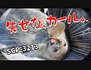 SCP-3213 失せな、カール。【ゆっくり解説】