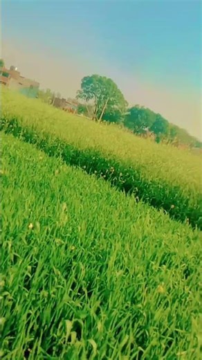 Ham to chale ghumne 👌♥️♥️👌❤❤