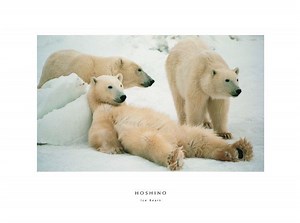 Michio Hoshino - Alchetron, The Free Social Encyclopedia