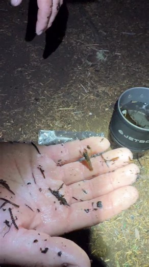 9.7K views · 34 reactions | Is this the smallest crawdad in the world? 咽 We’ve seen a lot of wild things out fishing, but never one this tiny. Could this be a record? New episode out now on YT! Drop a comment if you’ve ever seen one smaller! ⬇️ #FishingLife #OutdoorsDaily #FishingReels #FishingCommunity #FishingAddicts #ViralFishing #Crawdad #CatchAndRelease #FishingFun #naturemoments | Addicted Fishing | Facebook