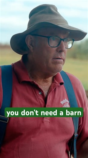 Raising Pigs On Small Farms #farming #regenerativefarming #agriculture #pigs #regenerativeag