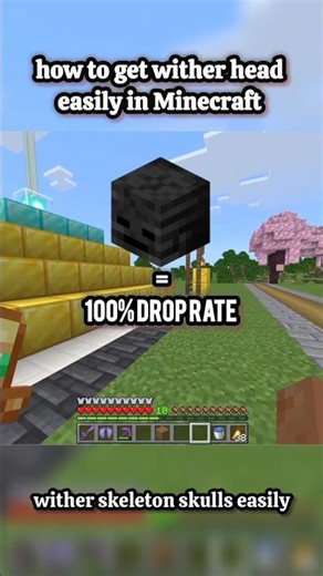 100% Wither Skeleton Skull Farm Trick #minecraft