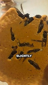 "The Yulin Dog Meat Festival in China, a deeply controversial event, draws global condemnation and raises complex debates on tradition, animal welfare, and ethical consumption. While supporters view it as a celebration of cultural heritage, critics decry the inhumane treatment of dogs, sparking widespread calls for compassion and evolving values in animal welfare." | Knowledge Hub