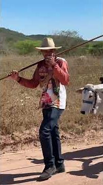 Encontro de carreiros é tradição no sertão ## chega chega cuida cuida