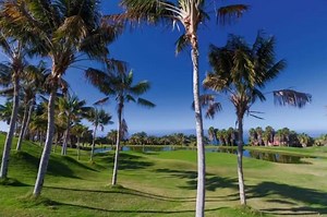 4.3K views · 580 reactions | It's the weekend: What's the plan? | Canary Islands | Facebook