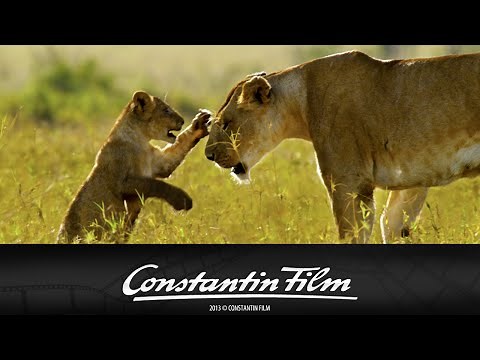 AFRIKA – DAS MAGISCHE KÖNIGREICH - Offizieller Trailer