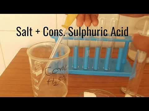 Test for ammonium ion || Test for chloride ion || Nessler's reagent test
