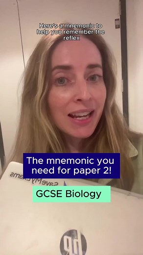 Have you memorised the reflex arc? Our expert teacher, Alex, shares a mnemonic that will ensure you remember this for your AQA GCSE Biology paper 2 exam. What other mnemonics do you know for biology? #gcsebiology #gcsescience #exams #gcses2025 #gcserevision #gcsetok