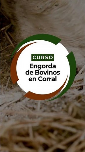 CURSO: ENGORDA DE BOVINOS EN CORRAL