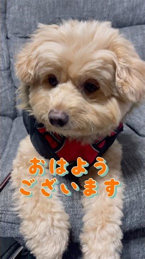 嵐がくる日も雪かなぁ？北海道の暮らし。