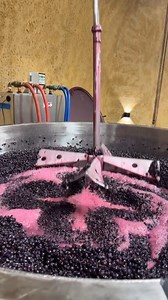 #thewinearound #wine #napa #thewinearounditalia | Thewine Around