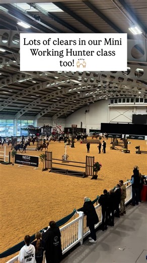 31 reactions | Lots of clears in our Mini Working Hunter class too!  | Aintree International Equestrian Centre | Facebook