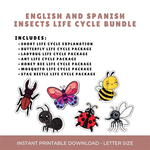 Insect Life Cycle Bilingual Worksheet BUNDLE | English & Spanish | Printable Science Activity | Digital Download | Homeschool Crafts - Etsy UK