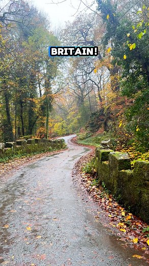 Average UK life?! #wales #rural #roads #commute #wrexham #local #bridge #river #countryliving #rurallife #outdoors | Dan Brown