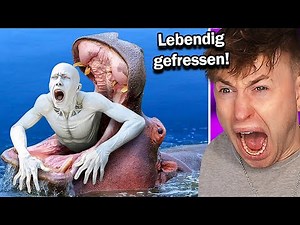The most gruesome things by animals