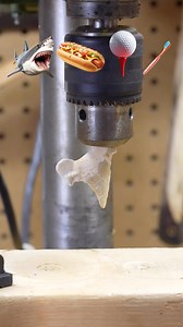 Can a dinosaur tooth be a drill bit #fossils #oddlysatisfying #tools | Noah Klein 614Lyfe