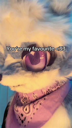 Adorable Furry Memes Featuring Fox Characters
