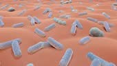 Bacteria on skin, Skin microbiome animation