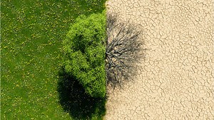 Réchauffement climatique : définition, causes et conséquences