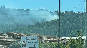 Eugene Springfield Fire respond to 5 acre brush fire in Springfield