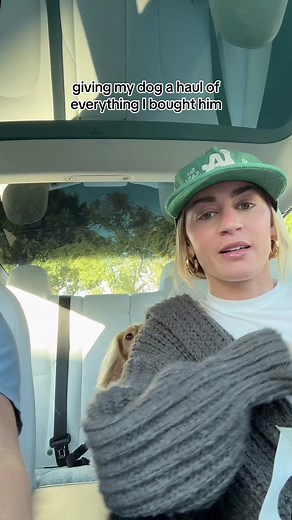 Dog Haul: Treats, Toys, and More for Your Pooch