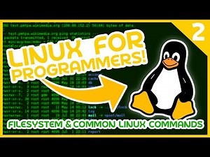 Linux for Programmers #2 - FileSystem & Common Linux Commands
