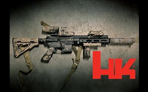 【中文字幕】LAV专辑：军用HK416与民用HK MR556之比较