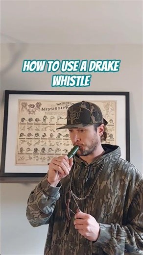 How to use a drake whistle. #duckhunting #duckcalling #duckcalls