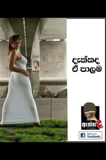 බුකියේ රස කතා අද 😂 | HC Fun Memes 🤣 #sinhala #shorts #memes Episode 2458 #athalmemes #shorts
